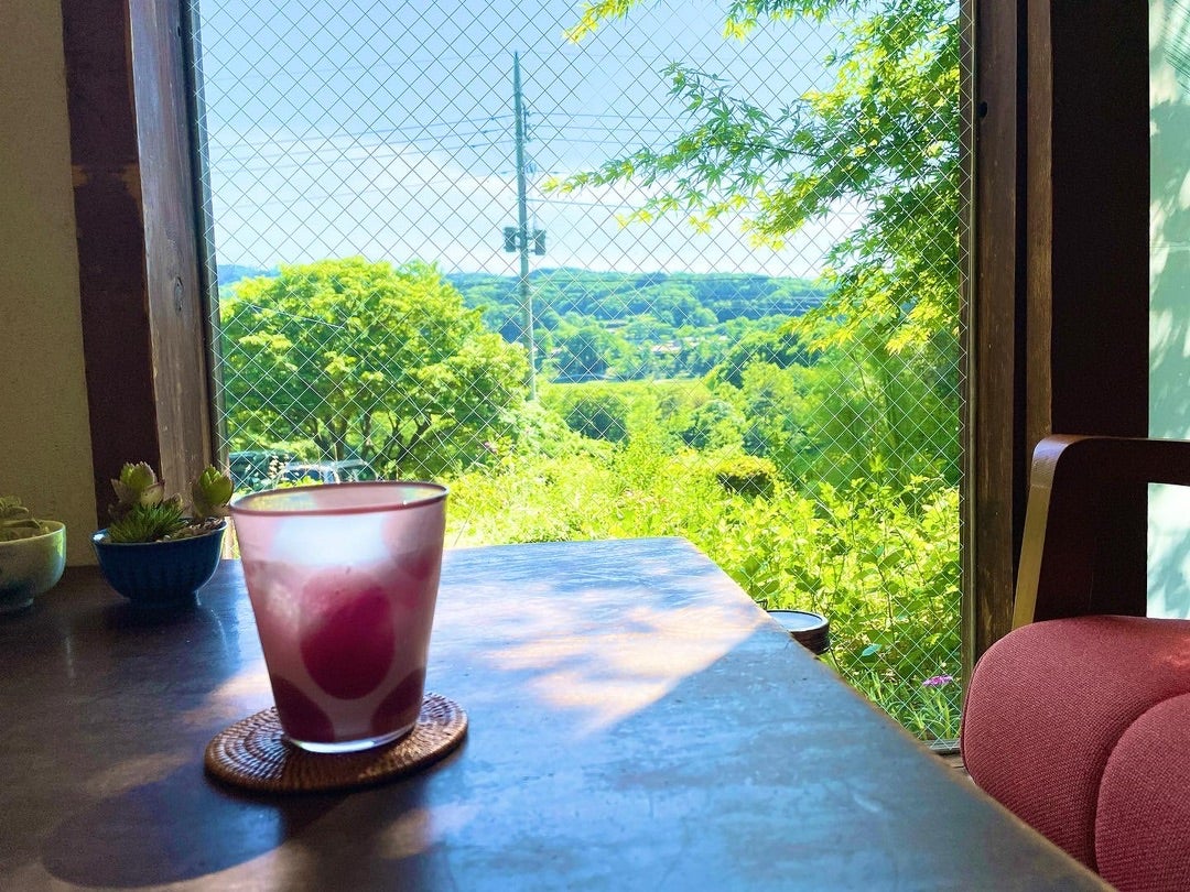 新緑の中でのひととき