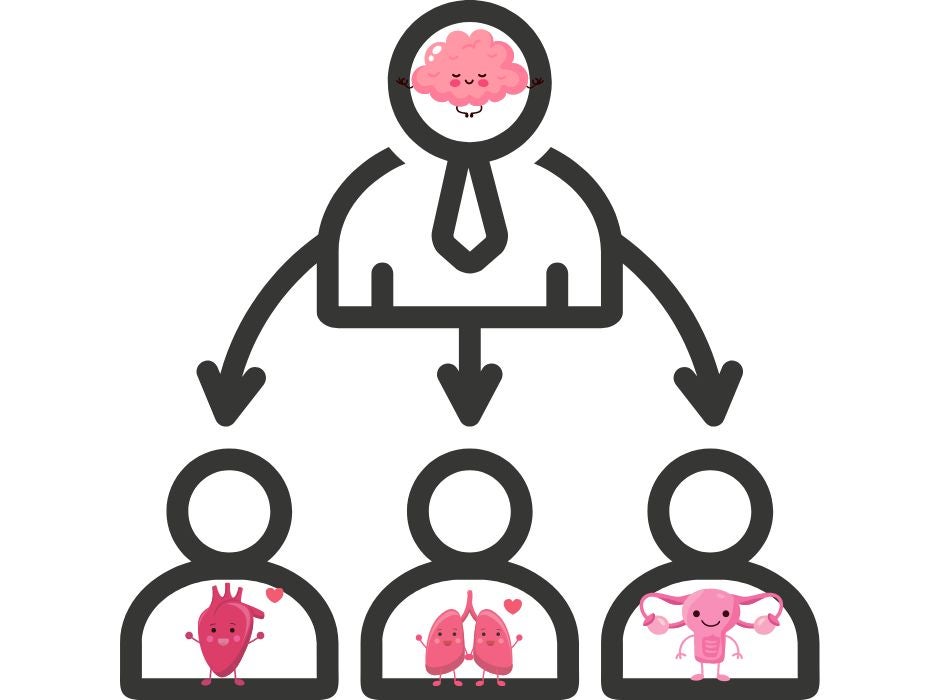 感情は肉体から生まれる② ~大切なのは体とのつながり~