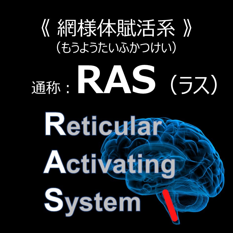 網様体賦活系(RAS)