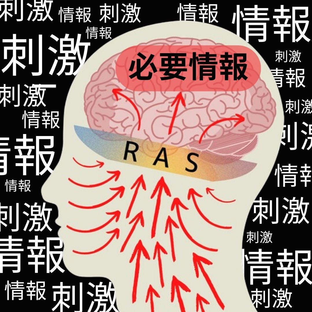 RASが必要な情報だけを脳に通すイメージ